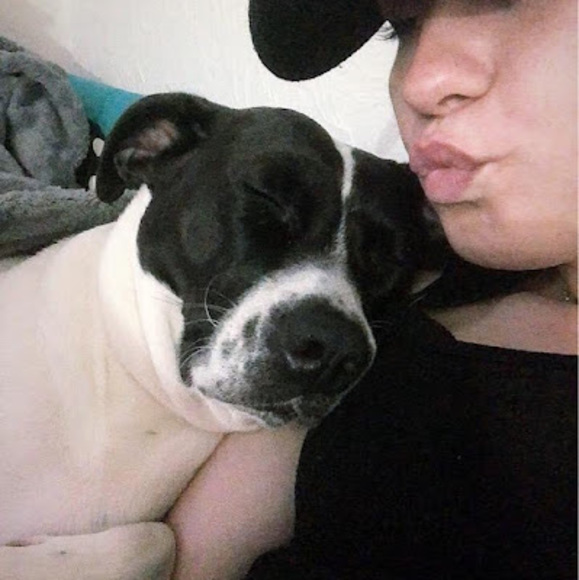 Meet your Posher, Rita - Picture 1 of 1